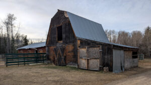 Canada, British Columbia, Groundbirch - Farmfresh